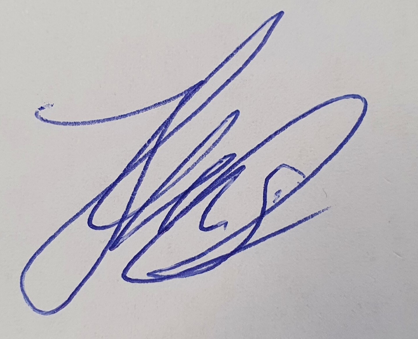 Unterschrift (eingescannt)